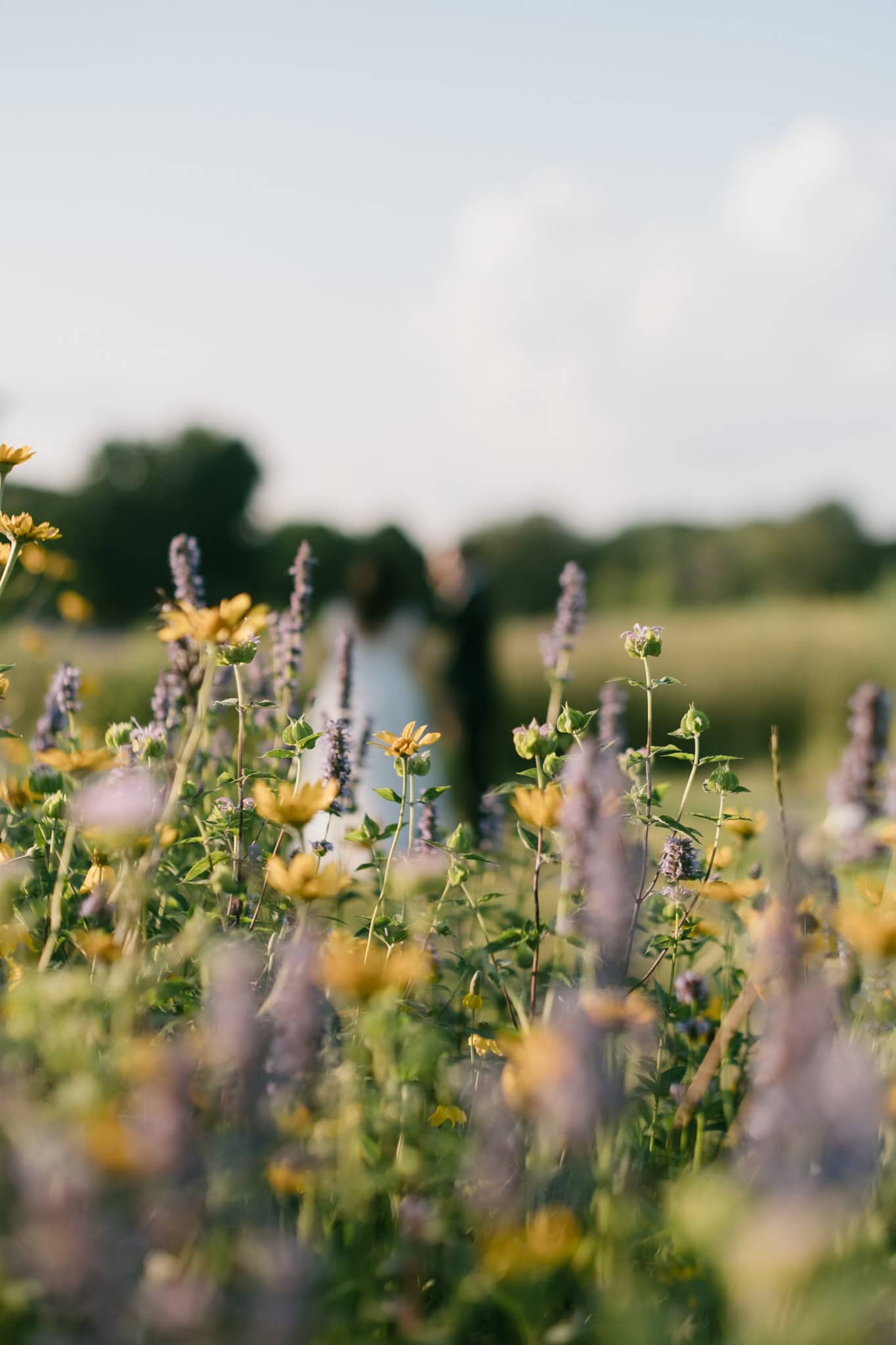 bride and groom enjoying elopement in wildflowers